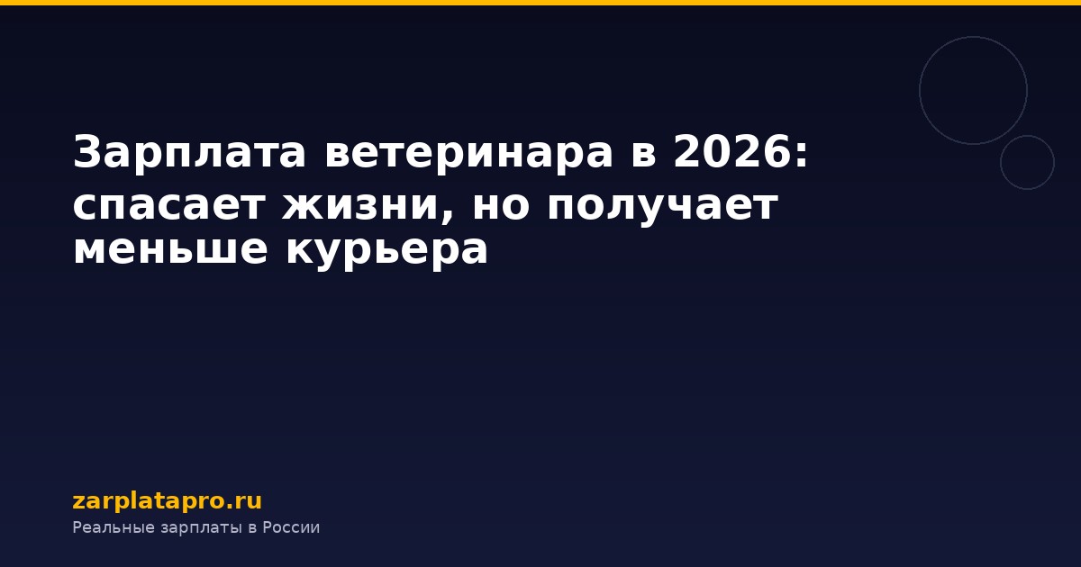 Зарплата ветеринара в 2026: спасает жизни, но получает меньше курьера