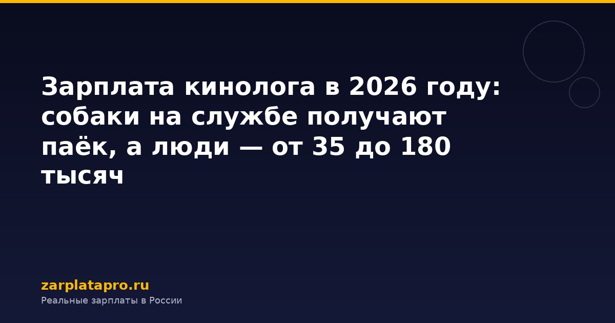 Зарплата кинолога в 2026 году: собаки на службе получают паёк, а люди — от 35 до 180 тысяч